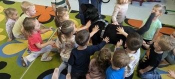 1c5fd115-79e4-4868-863e-68365a4d0297