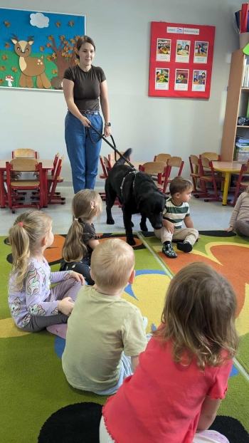 2b464c53-3d3d-4ea8-8ffe-a0fe36dbe9e1