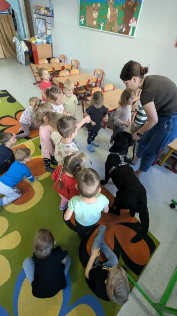 3a801c43-7d3e-40e6-ae2f-1fd1de7082a9