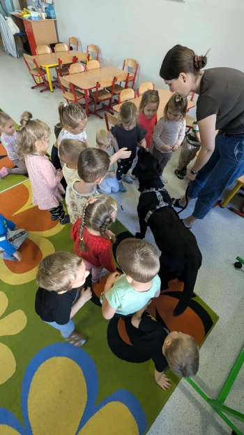 258a97c3-ab0c-43da-aa6d-6cdd6832da3c