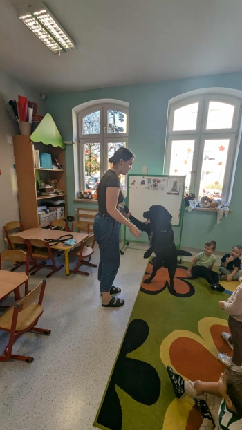 0508cfab-cc17-477a-905f-389ee5e816f5