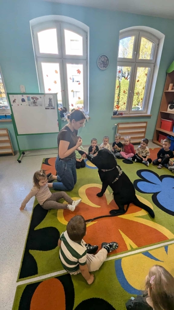 a4ce6752-5d65-41cc-a2dd-8ac5408a9515