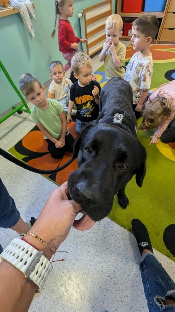 e6557510-0ecf-4c9b-8912-684657f34509