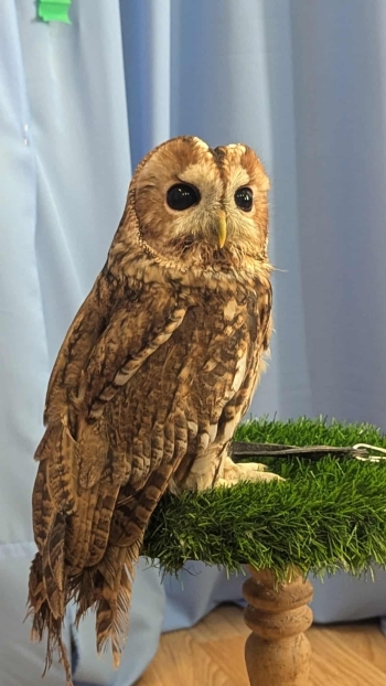 6d3d7641-de08-4f12-aeb7-09c9399859f3