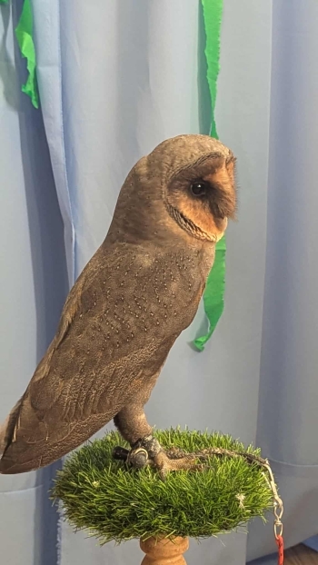 8eb59285-97e1-449a-a5cc-658cb81bdc8f