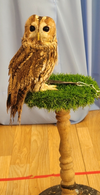 inbound7911028362965523846