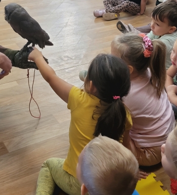 inbound2349463026686286673