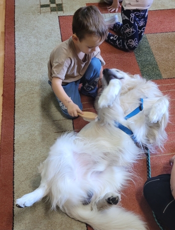 inbound8550514654786638811