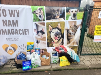 4e49f9a9-021e-4bdb-b12a-d656b323f202