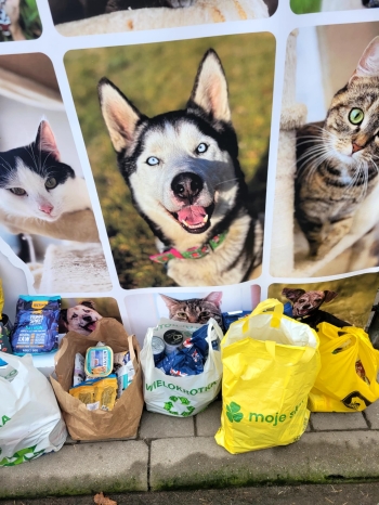 e4b90749-a334-4e79-84a9-0319246e53fb